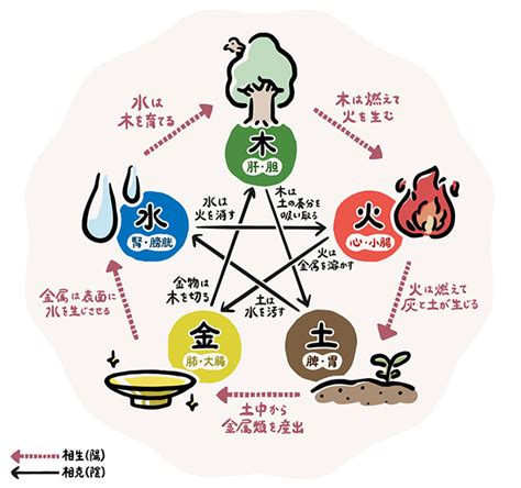 火剋金意味|五行の基本概念「相剋」を知って、心と身体のバランスを整え。